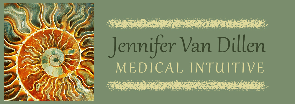 Jennifer Van Dillen header image